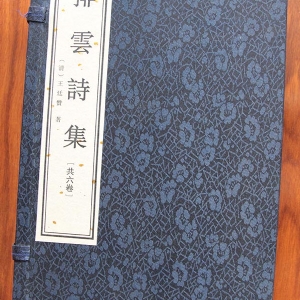 排云诗集